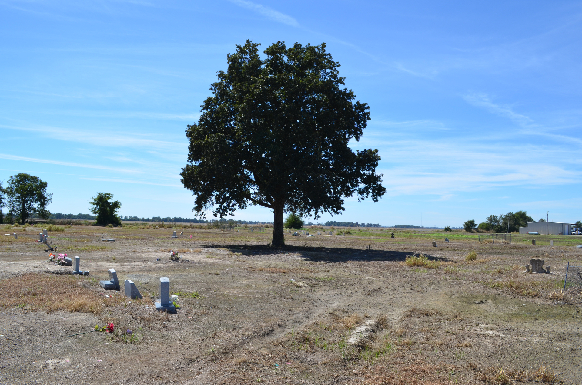 Charley Patton gravesite 3-LaSalle Geographic